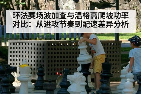 环法赛场波加查与温格高爬坡功率对比：从进攻节奏到配速差异分析